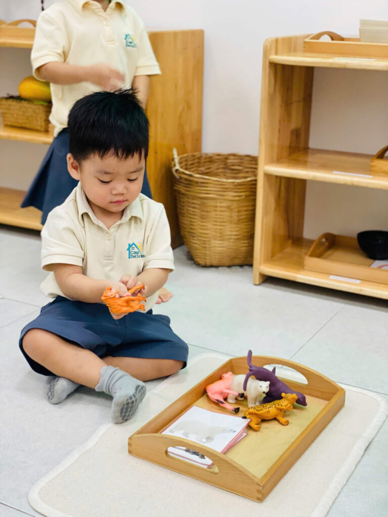 Casa Dei Sol Montessori – Nơi bắt đầu của những đứa trẻ hạnh phúc – ảnh 6