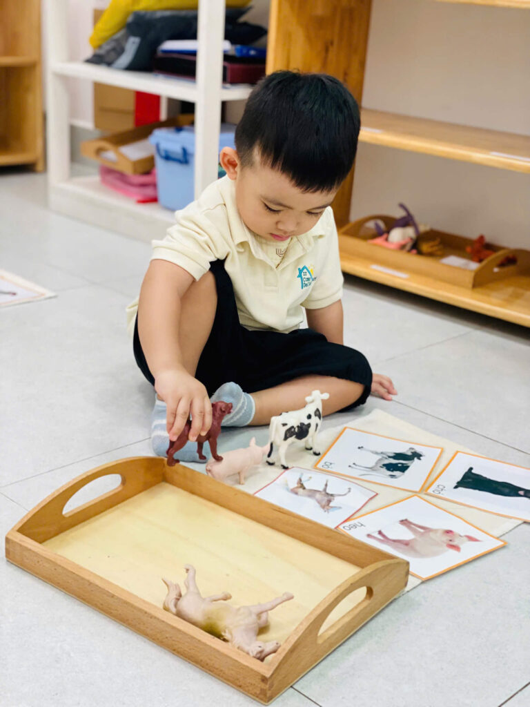 Casa Dei Sol Montessori – Nơi bắt đầu của những đứa trẻ hạnh phúc – ảnh 10