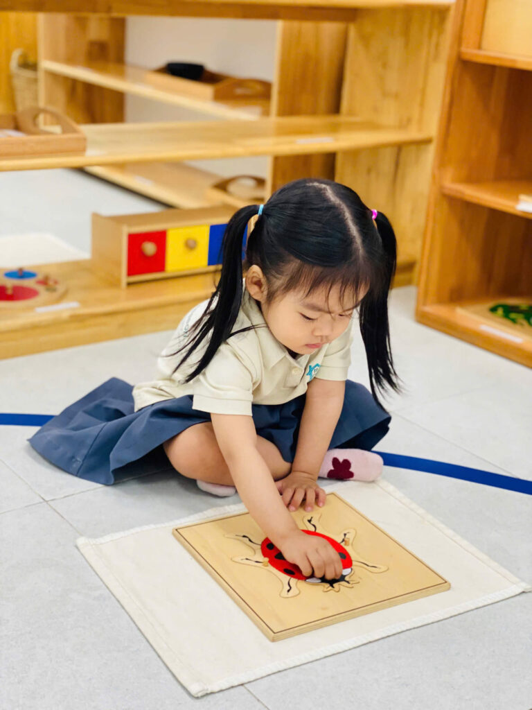 Casa Dei Sol Montessori – Nơi bắt đầu của những đứa trẻ hạnh phúc – ảnh 12