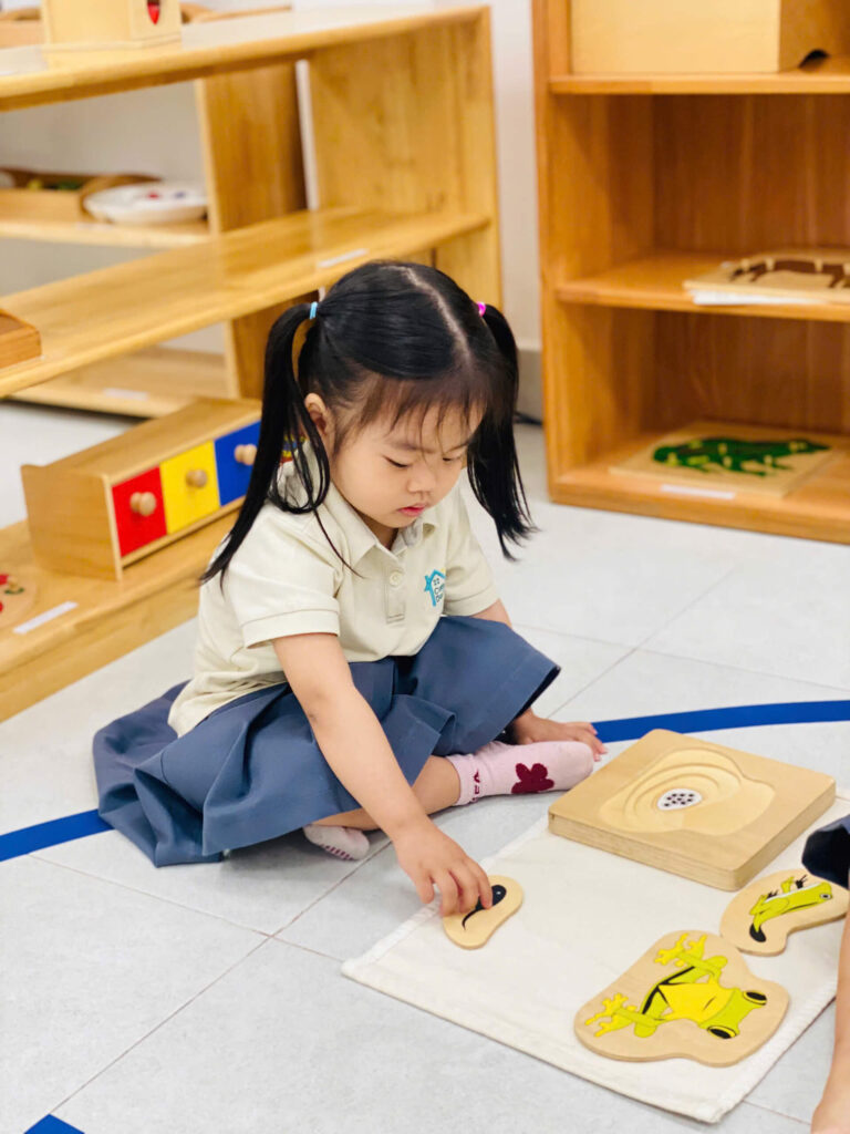 Casa Dei Sol Montessori – Nơi bắt đầu của những đứa trẻ hạnh phúc – ảnh 15