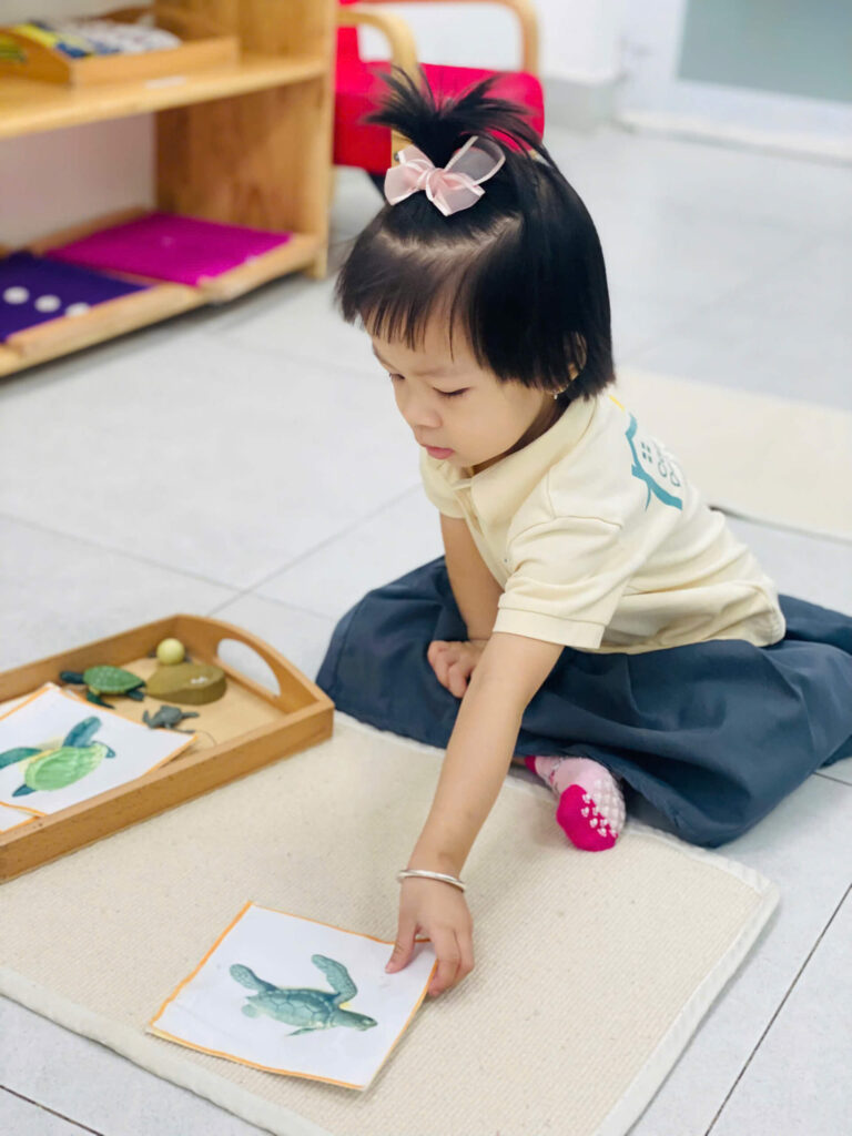 Casa Dei Sol Montessori – Nơi bắt đầu của những đứa trẻ hạnh phúc – ảnh 22