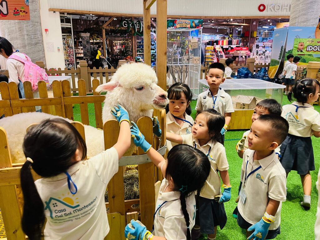 Summer 2025: Summer Farm Adventures – ảnh 8