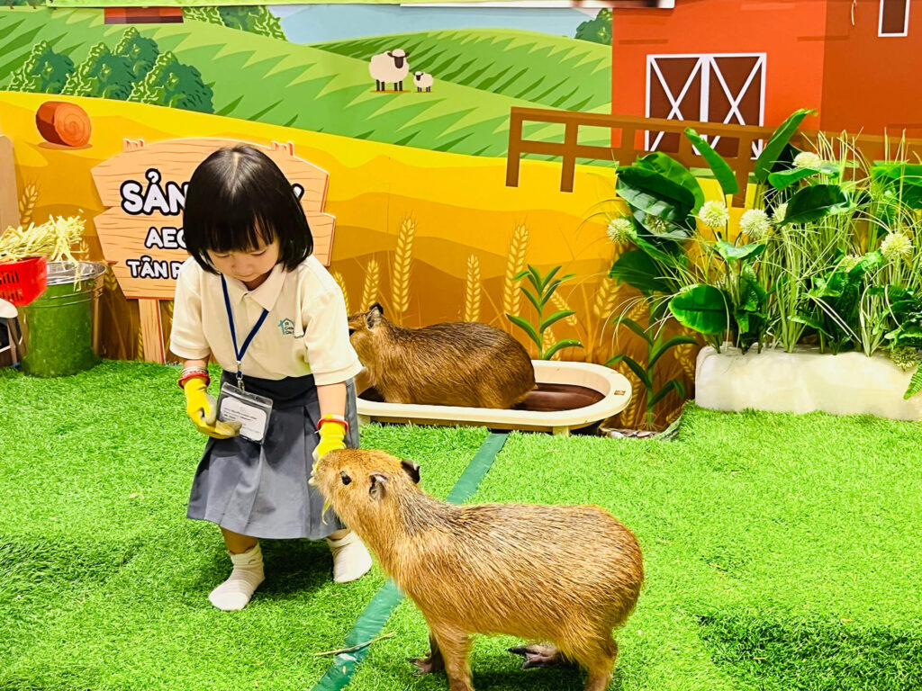 Summer 2025: Summer Farm Adventures – ảnh 16