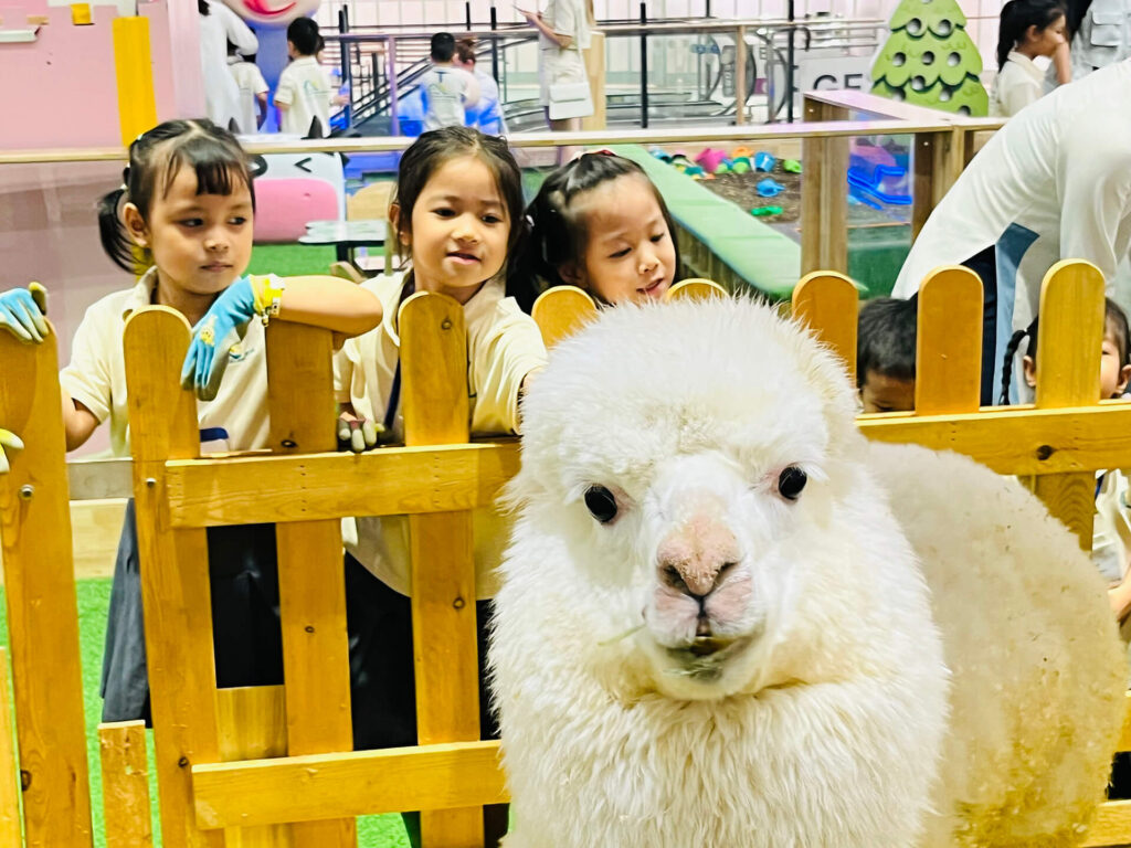 Summer 2025: Summer Farm Adventures – ảnh 17
