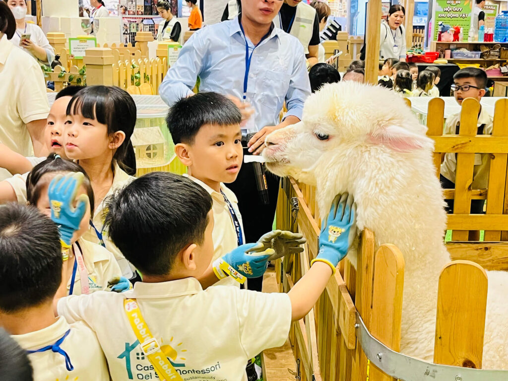 Summer 2025: Summer Farm Adventures – ảnh 18