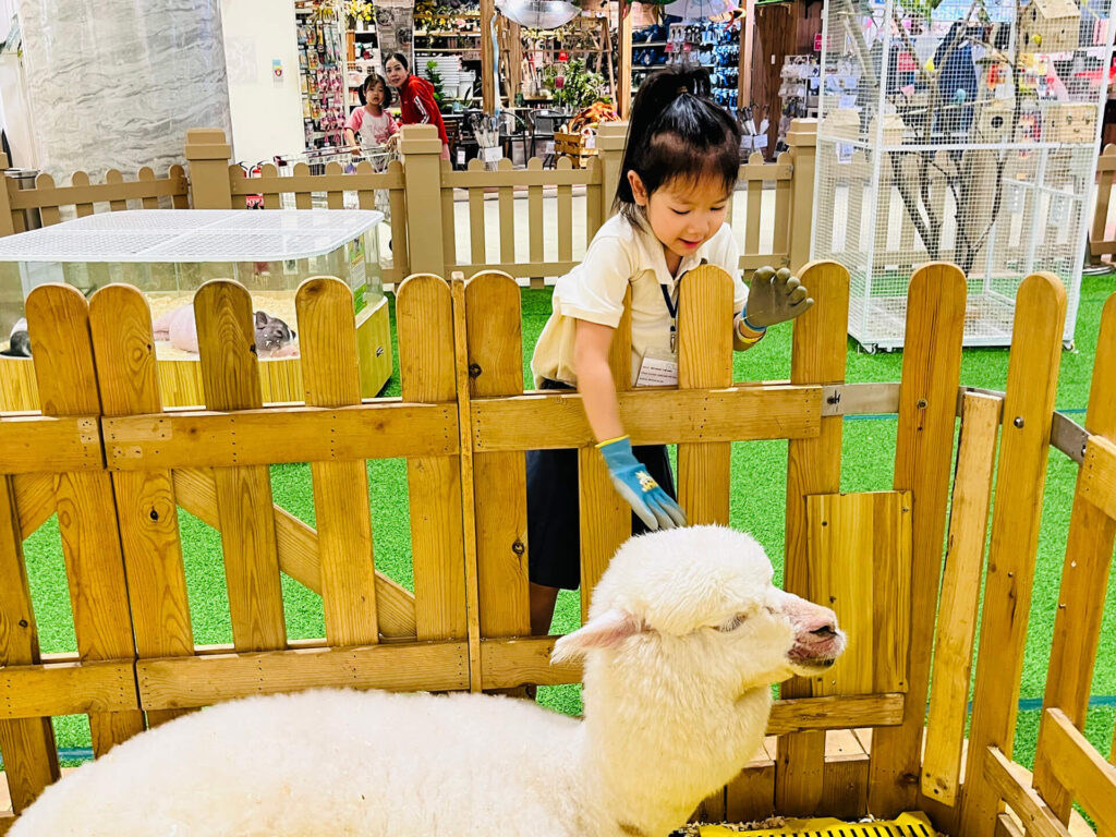 Summer 2025: Summer Farm Adventures – ảnh 25
