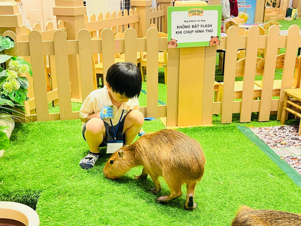 Summer 2025: Summer Farm Adventures – ảnh 26