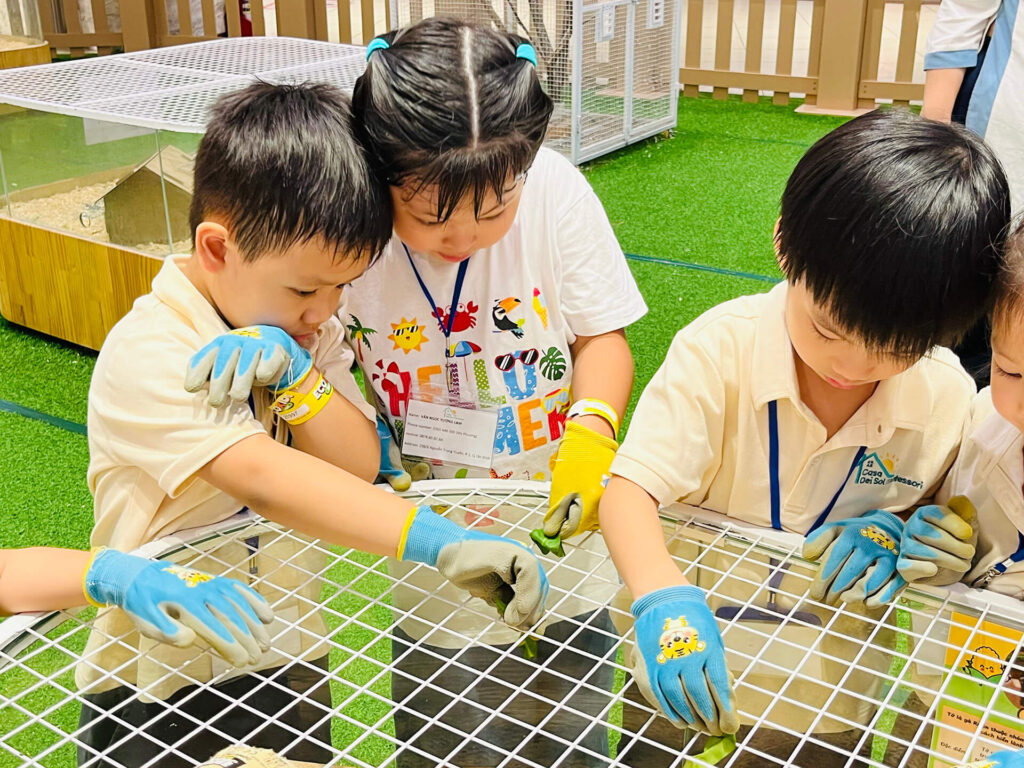 Summer 2025: Summer Farm Adventures – ảnh 39