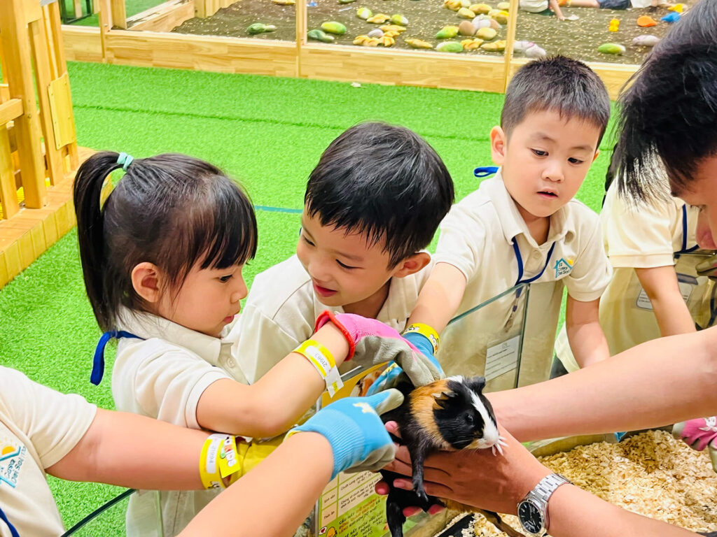 Summer 2025: Summer Farm Adventures – ảnh 41