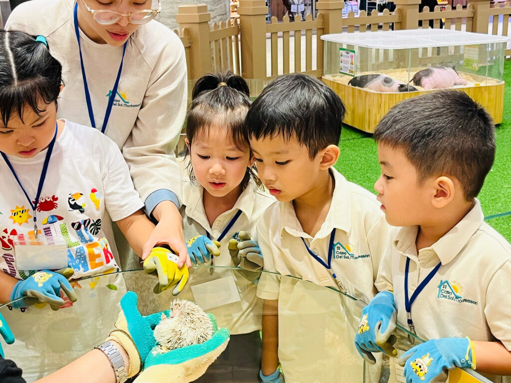 Summer 2025: Summer Farm Adventures – ảnh 43