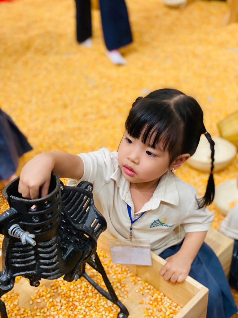 Summer 2025: Summer Farm Adventures – ảnh 57