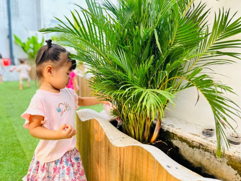 Hình ảnh hoạt động của các bé ở Casa Dei Sol Montessori – ảnh 12