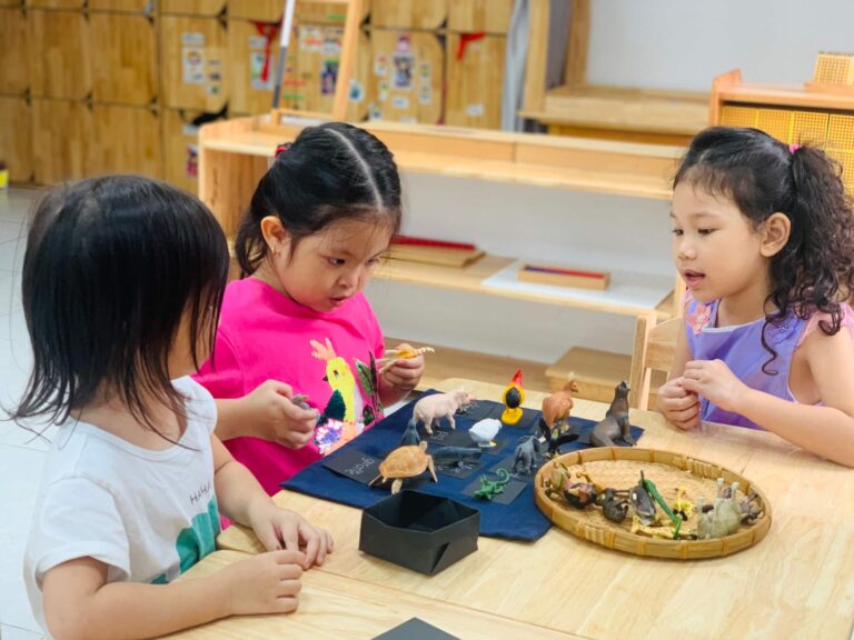 Hình ảnh hoạt động của các bé ở Casa Dei Sol Montessori – ảnh 15
