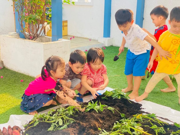 Hình ảnh hoạt động của các bé ở Casa Dei Sol Montessori – ảnh 23