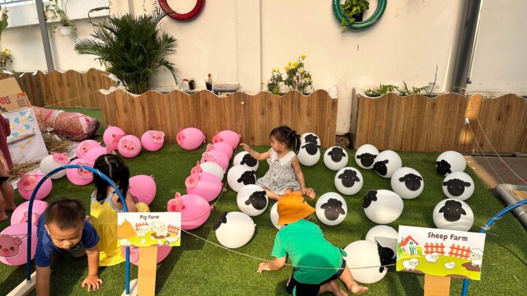 Hình ảnh hoạt động của các bé ở Casa Dei Sol Montessori – ảnh 25