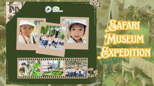 Summer 2025: Safari Museum Expedition